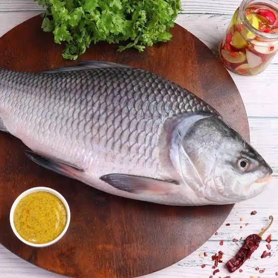 Katla Curry Cut w/o head  size 4-6kg.